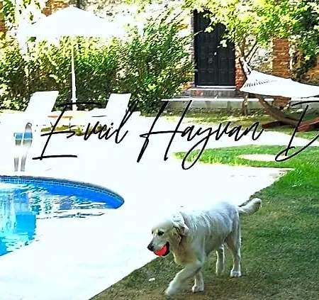 Hotel Manastirhan Kazdaglari